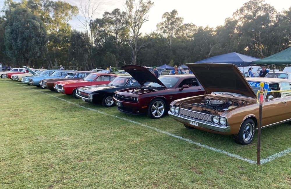 Show n shine Sunday