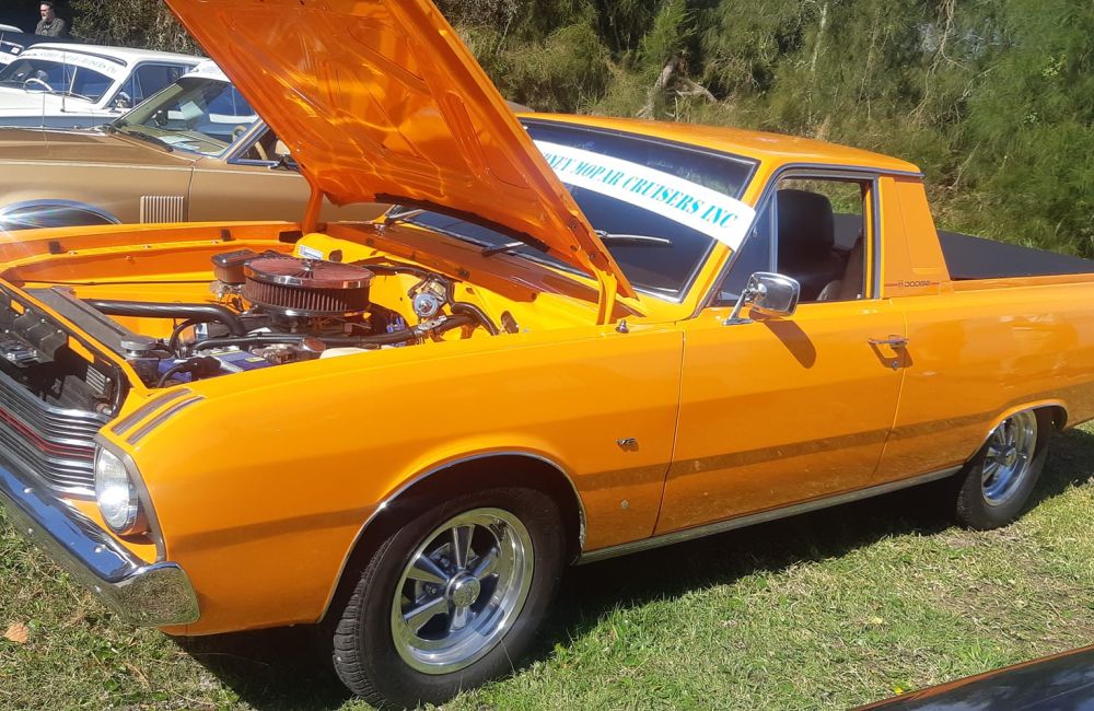 Top 10 Trophy Winner David Quigg VF Ute